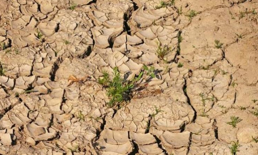 Socio-economic impact of drought on crop production in Puthia upazila, Rajshahi district of Bangladesh