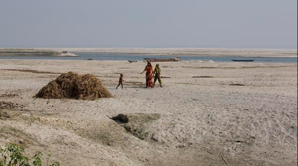 Performances of some kenaf varieties in two selected char areas of Bangladesh